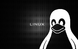 90% PUBLIC CLOUD CHẠY TRÊN LINUX | THẾ GIỚI SỐ